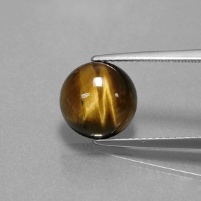 3,72 ctw natürlicher brauner Tiger's Eye, Rundschliff, Lichtundurchlässig