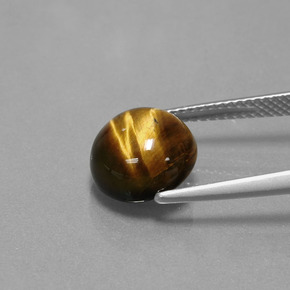 3,72 ctw natürlicher brauner Tiger's Eye, Rundschliff, Lichtundurchlässig