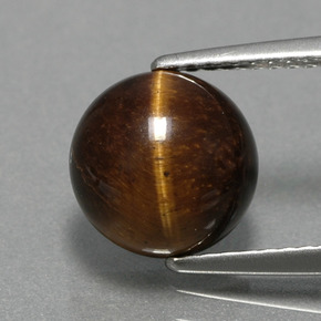 2,79 ctw natürlicher brauner Tiger's Eye, Rundschliff, Lichtundurchlässig