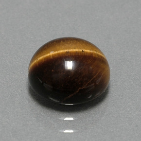2,79 ctw natürlicher brauner Tiger's Eye, Rundschliff, Lichtundurchlässig