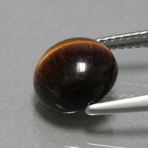 2,79 ctw natürlicher brauner Tiger's Eye, Rundschliff, Lichtundurchlässig