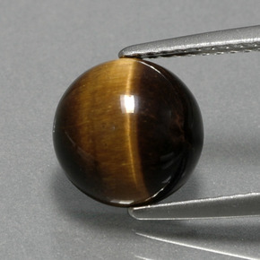 2,78 ctw natürlicher brauner Tiger's Eye, Rundschliff, Lichtundurchlässig