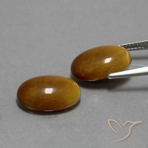 9.05 ct natürliche gold-braun Tigerauge-Edelsteine, Oval, Lichtundurchlässig