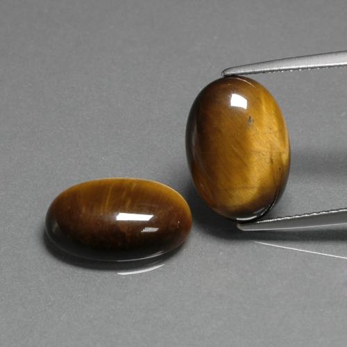 9.11 ct natürliche gold-braun Tigerauge-Edelsteine, Oval Schliff, Lichtundurchlässig