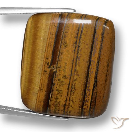 41.49ct Natürlicher Lebkuchen braun Tigerauge, Kissen, Lichtundurchlässig