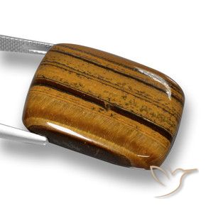9,17 ctw natürlicher Lebkuchen braun Tigerauge, Kissen, Lichtundurchlässig