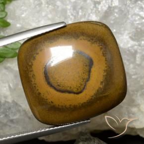 9,17 ctw natürlicher gold-braun Tigerauge, Kissen, Lichtundurchlässig