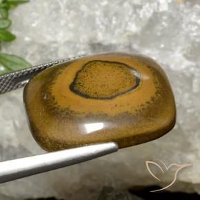 9,17 ctw natürlicher gold-braun Tigerauge, Kissen, Lichtundurchlässig