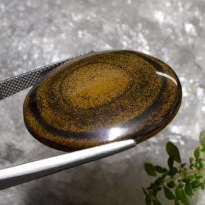 59,01 ctw natürlicher brauner Tiger's Eye, Rundschliff, Lichtundurchlässig