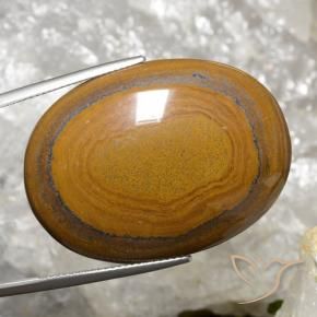 9,17 ctw natürlicher gold-braun Tigerauge, Oval, Lichtundurchlässig