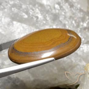9,17 ctw natürlicher gold-braun Tigerauge, Oval, Lichtundurchlässig