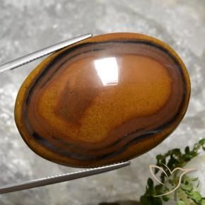 92,65 ctw natürlicher brauner Tiger's Eye, Oval Schliff, Lichtundurchlässig