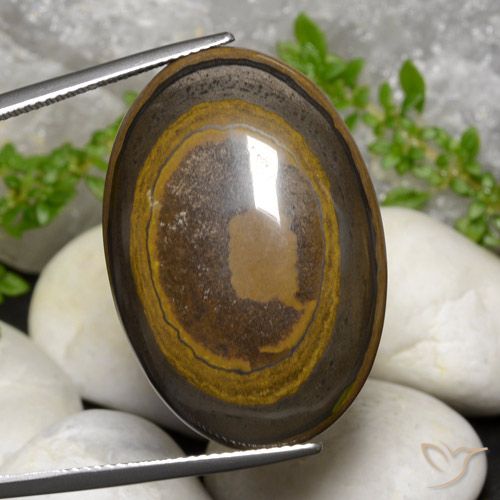 39.14ct Natürlicher Warmes Braun Tigerauge, Oval, Lichtundurchlässig