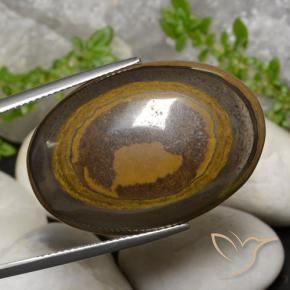 9,17 ctw natürlicher Warmes Braun Tigerauge, Oval, Lichtundurchlässig