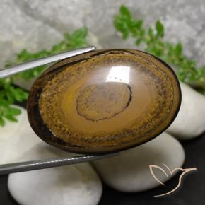 9,17 ctw natürlicher gelblich-braun Tigerauge, Oval, Lichtundurchlässig