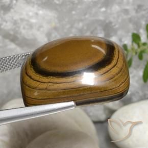 9,17 ctw natürlicher gold-braun Tigerauge, Kissen, Lichtundurchlässig