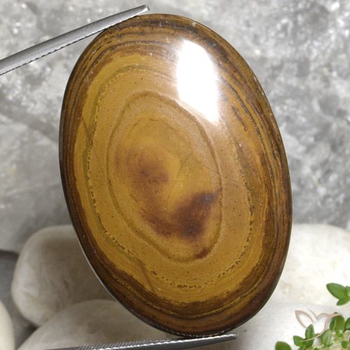 79.99ct Natürlicher Mittel-Dunkelbraun Tigerauge, Oval, Lichtundurchlässig