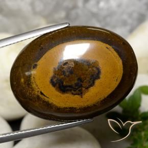 9,17 ctw natürlicher Warmes Braun Tigerauge, Oval, Lichtundurchlässig