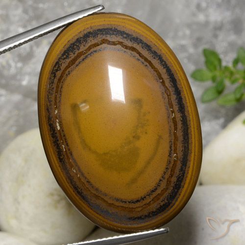 59.70ct Natürlicher Mittel-Dunkelbraun Tigerauge, Oval, Lichtundurchlässig