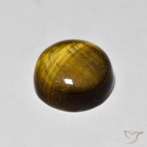9,17 ctw natürlicher Medium Dark-Brown Tigerauge, Runden, Lichtundurchlässig