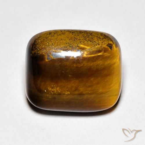 9.08ct Natürlicher Lebkuchen braun Tigerauge, Kissen, Lichtundurchlässig