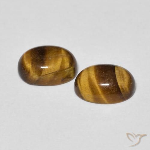 2.69 ct natürliche gold-braun Tigerauge-Edelsteine, Oval, Lichtundurchlässig