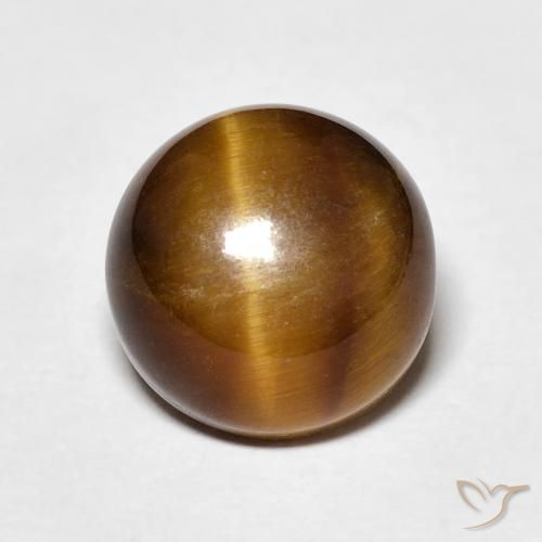 4.24ct Natürlicher Mittel braun Tigerauge, Runden, Lichtundurchlässig