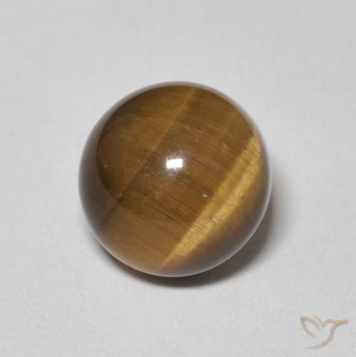 2.44ct Natürlicher Mittel braun Tigerauge, Runden, Lichtundurchlässig