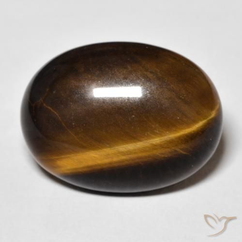 14.23ct Natürlicher Medium Dark-Brown Tigerauge, Oval, Lichtundurchlässig