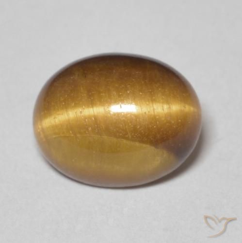2.78ct Natürlicher Mittel braun Tigerauge, Oval, Lichtundurchlässig