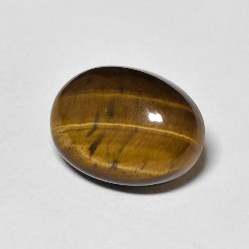 9,17 ctw natürlicher gold-braun Tigerauge, Oval, Lichtundurchlässig