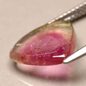 3,30 ctw natürlicher zweifarbiger Turmalin, Transparent, Transparent / Lichtdurchlässig