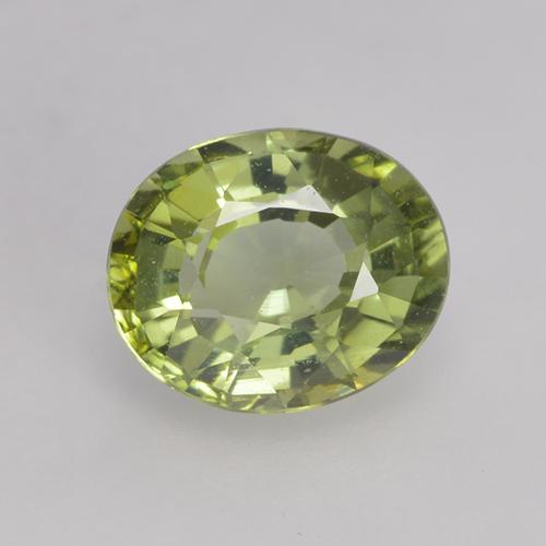 0,79 ctw natürlicher grüner Turmalin, Oval Schliff, VVS