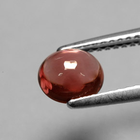 1,00 ctw natürlicher roter Turmalin, Oval Schliff, Transparent