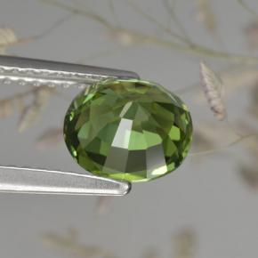 1,50 ctw natürlicher grüner Turmalin, Oval Schliff, VVS-VS