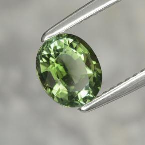 1,02 ctw natürlicher grüner Turmalin, Oval Schliff, VVS
