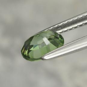 1,02 ctw natürlicher grüner Turmalin, Oval Schliff, VVS