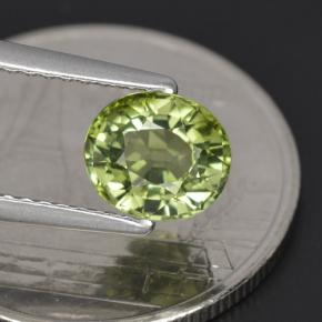 1,23 ctw natürlicher grüner Turmalin, Oval Schliff, VVS
