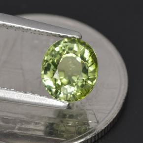 1,23 ctw natürlicher grüner Turmalin, Oval Schliff, VVS