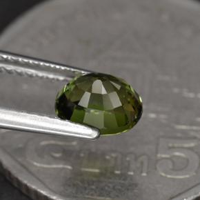 1,23 ctw natürlicher grüner Turmalin, Oval Schliff, VVS