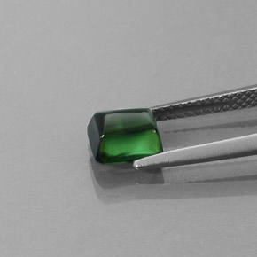 1,46 ctw natürlicher grüner Turmalin, Transparent, Transparent / Lichtdurchlässig