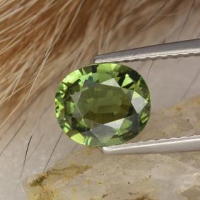 1,20 ctw natürlicher grüner Turmalin, Oval Schliff, VVS
