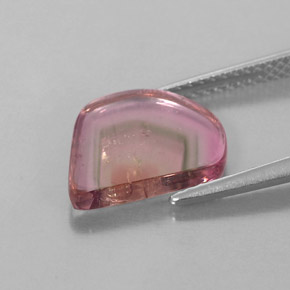 2,74 ctw natürlicher mehrfarbiger Turmalin, Transparent, Transparent / Lichtdurchlässig