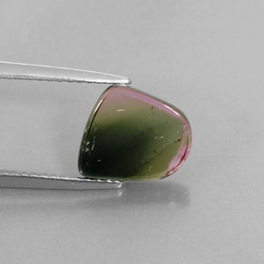 2,24 ctw natürlicher mehrfarbiger Turmalin, Transparent, Transparent / Lichtdurchlässig