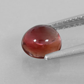 1,15 ctw natürlicher mehrfarbiger Turmalin, Rundschliff, Transparent
