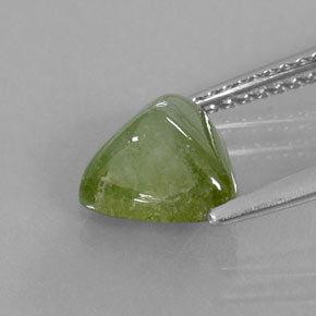 1,84 ctw natürlicher grüner Turmalin, Transparent, Transparent / Lichtdurchlässig