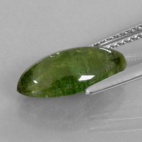 2,52 ctw natürlicher grüner Turmalin, Transparent, Transparent / Lichtdurchlässig