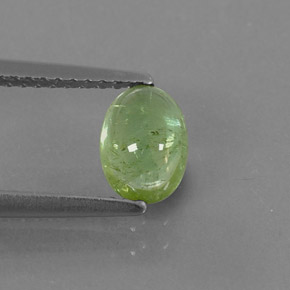 0,99 ctw natürlicher grüner Turmalin, Transparent, Transparent / Lichtdurchlässig