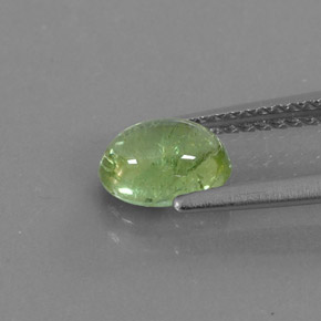 0,99 ctw natürlicher grüner Turmalin, Transparent, Transparent / Lichtdurchlässig