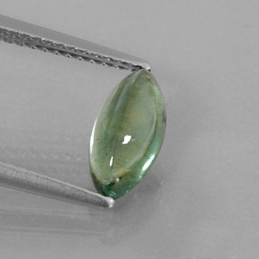 1,25 ctw natürlicher grüner Turmalin, Transparent, Transparent / Lichtdurchlässig